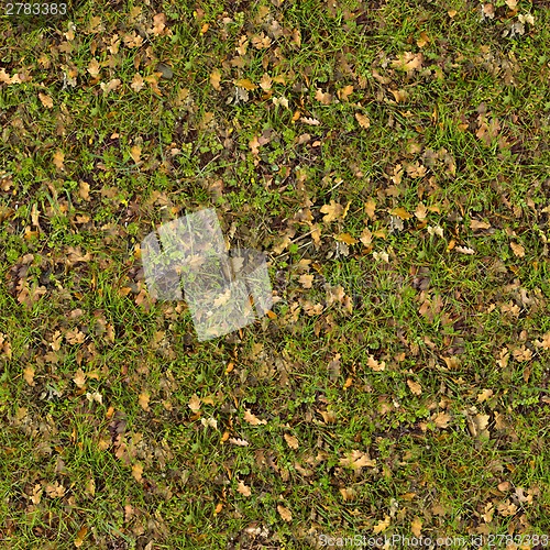 Image of Dry Leaves on Green Grass. Seamless Texture.