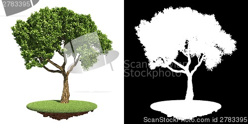 Image of Nice Green Tree with Detail Raster Mask.