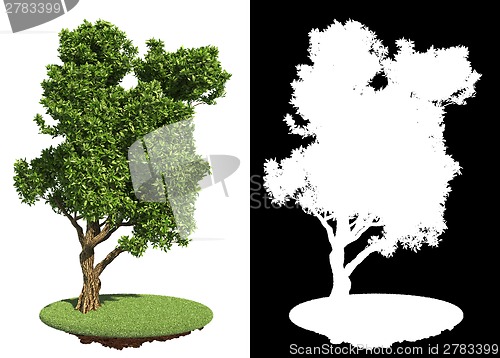 Image of Decorative Green Tree with Detail Raster Mask.