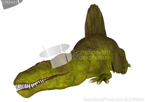 Image of Dinosaur Spinosaurus