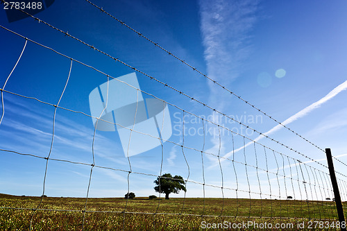 Image of View through the barbed wire fence