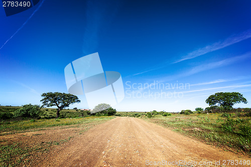 Image of Green Grass Field Landscape