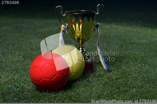 Image of soccer cup