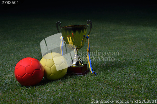 Image of soccer cup