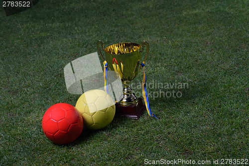 Image of soccer cup