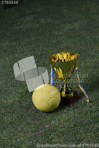 Image of soccer cup