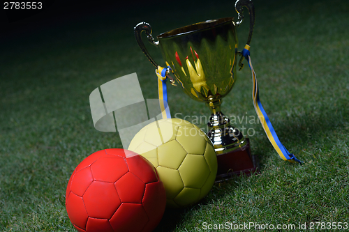 Image of soccer cup