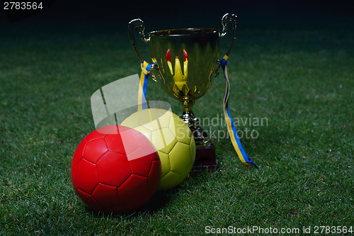 Image of soccer cup