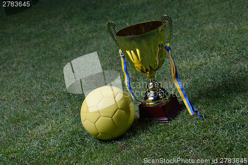 Image of soccer cup