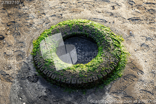 Image of Old tyre 