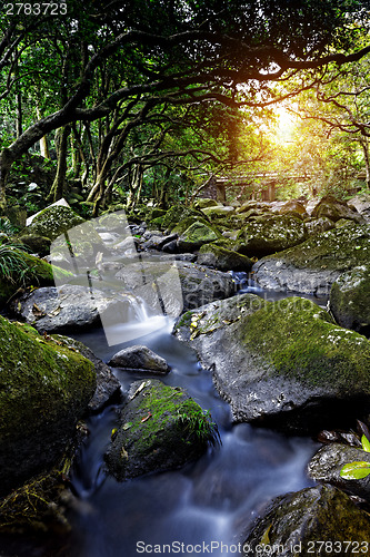 Image of Cascade falls over mossy rocks