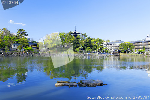 Image of Nara, Japan at Sarusawa Pond. 