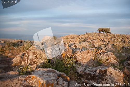 Image of galilee landscape