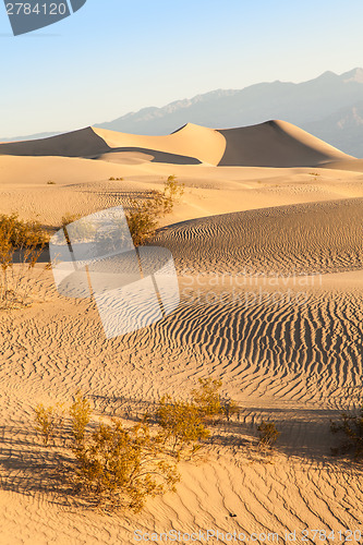 Image of Death Valley Desert