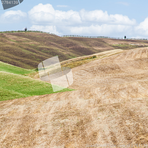 Image of Tuscany agriculture