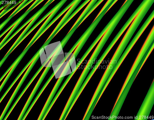 Image of Palm Leaves