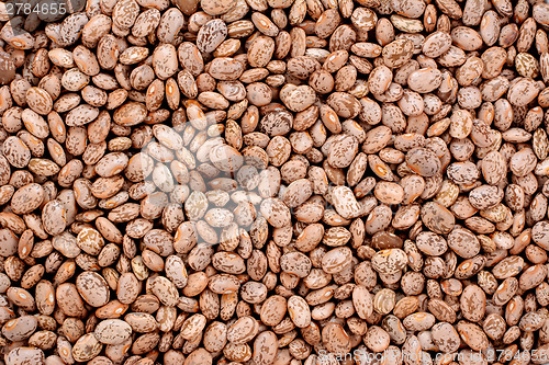 Image of Pinto beans background