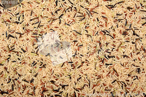 Image of Wild rice, brown basmati and red camargue background