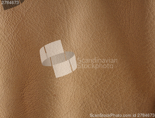 Image of Natural leather background