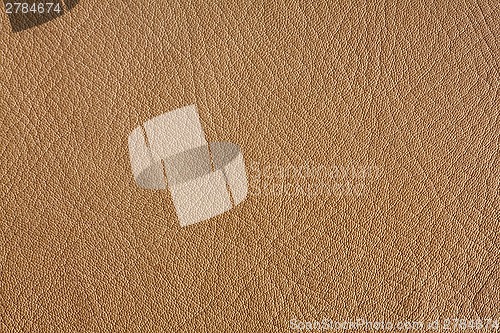 Image of Natural leather background