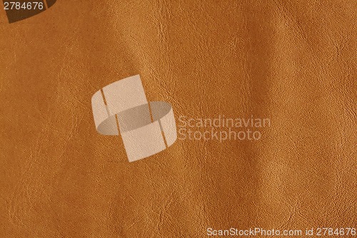 Image of Natural leather background