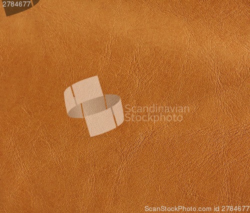 Image of Natural leather background