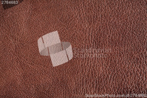 Image of Natural leather background