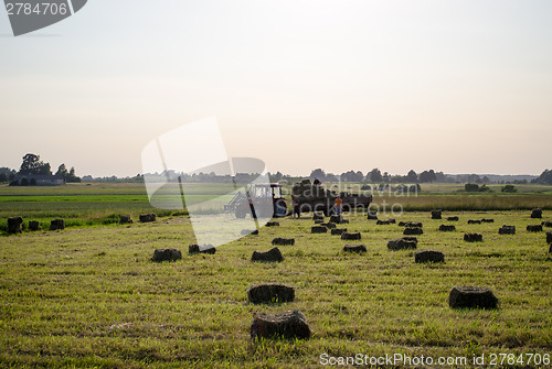 Image of farmers load dried hay straw bales to tractor 