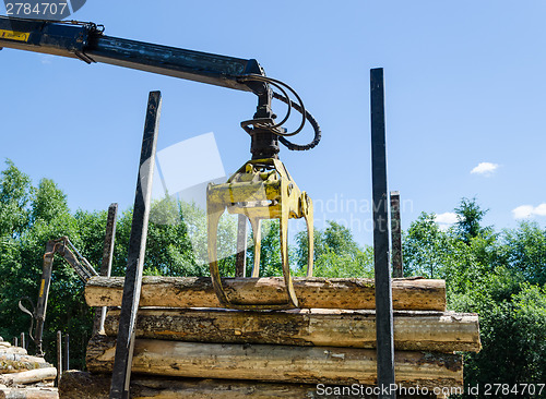 Image of wood machinery cutter loading cut logs on trailer 