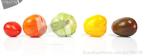 Image of different tomatoes shapes and colors