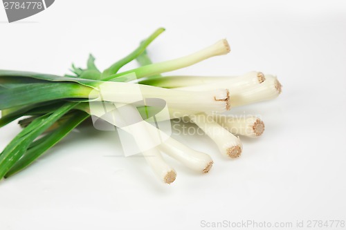 Image of Green Onion on white background