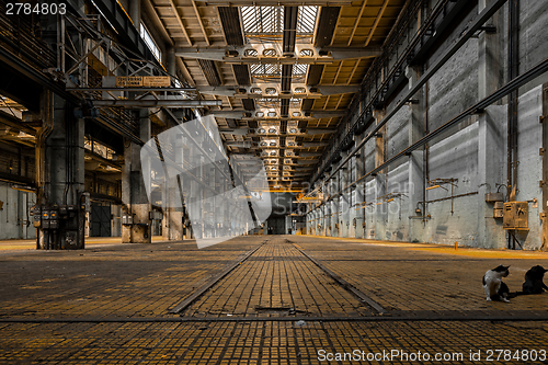 Image of Large industrial hall of a repair station