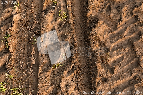 Image of Closeup photo of some mud outdoors