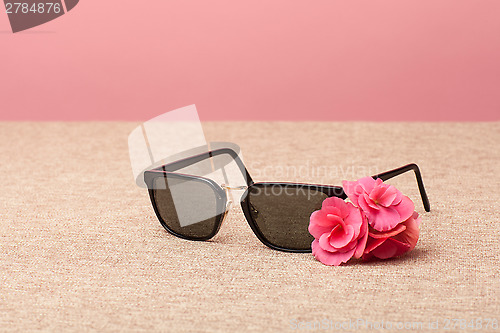 Image of brown Sunglasses on canvas