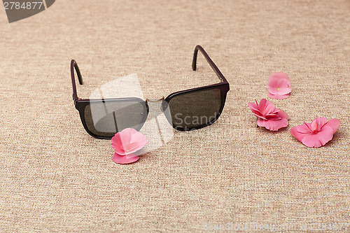 Image of brown Sunglasses on canvas