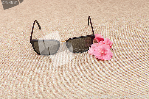 Image of brown Sunglasses on canvas