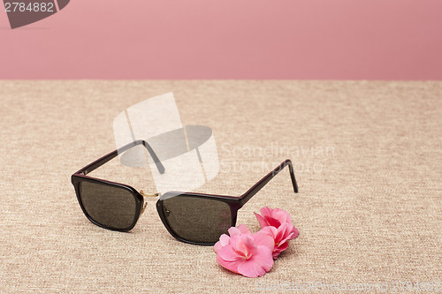 Image of brown Sunglasses on canvas