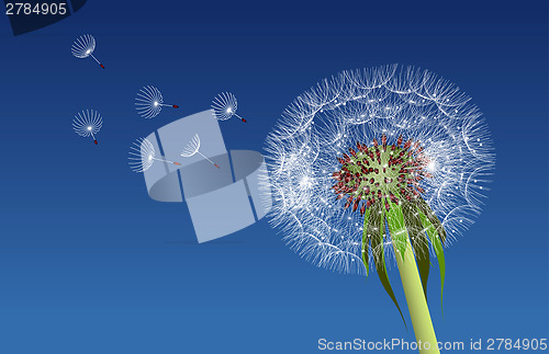 Image of Dandelion seeds blown in the blue sky.