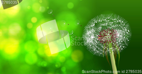 Image of Dandelion on blurred green bokeh background.