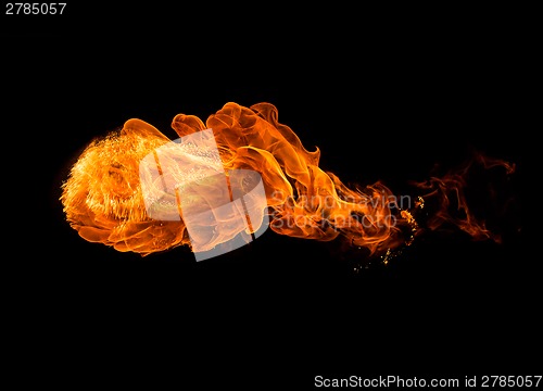 Image of Fire