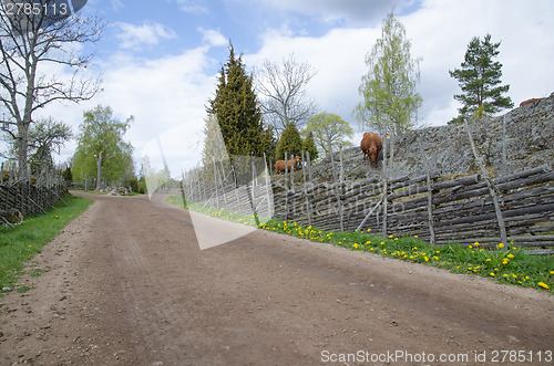 Image of Along an old fashioned road