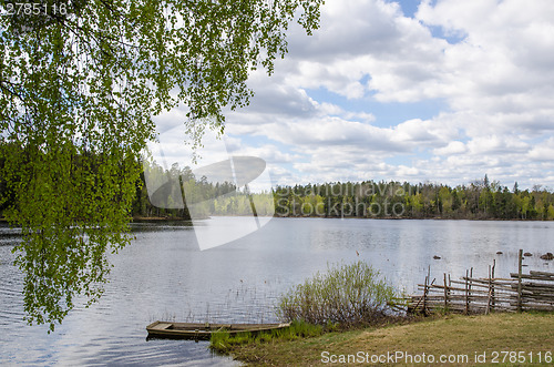 Image of Springtime lake view