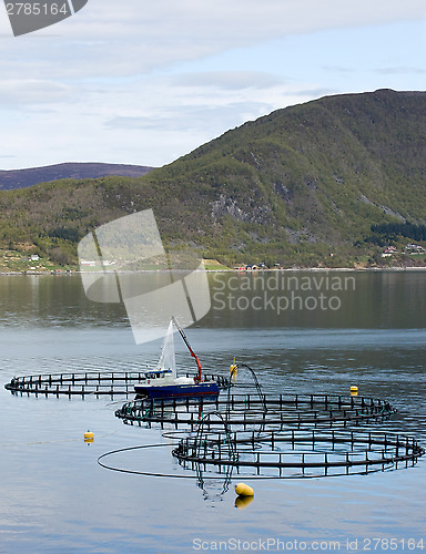 Image of Fish farming