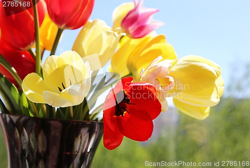 Image of Bouquet of colorful spring tulips in a vase