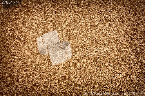 Image of Natural leather background