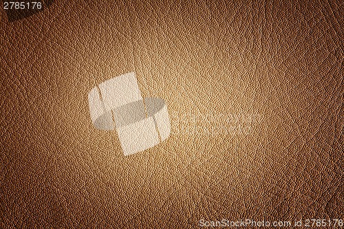 Image of Natural leather background