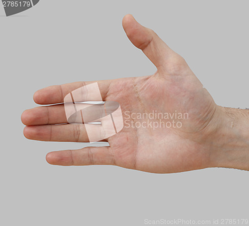 Image of White hand on perfect gray background