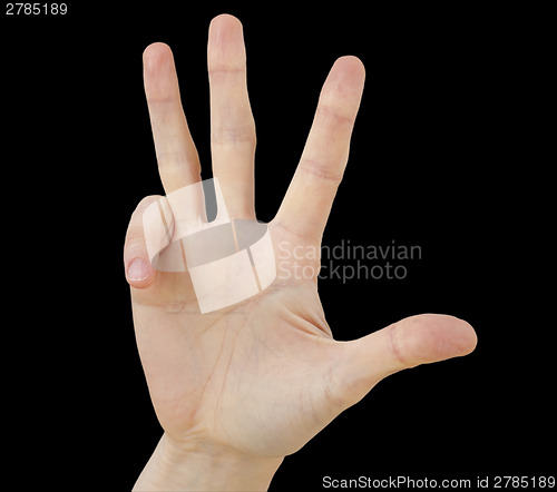 Image of White hand on black