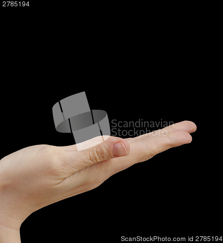 Image of White hand on black