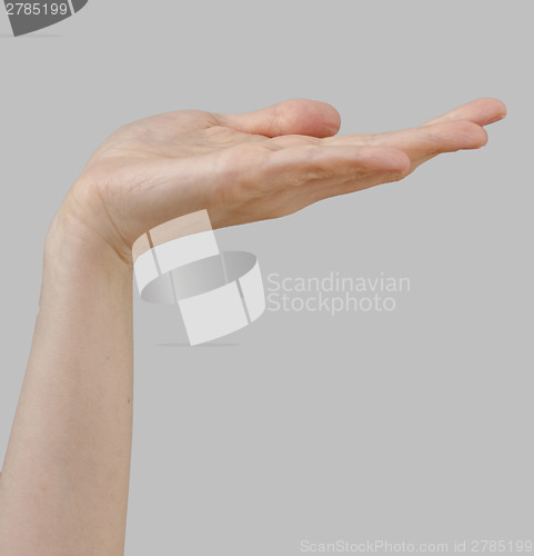 Image of White hand on perfect gray background